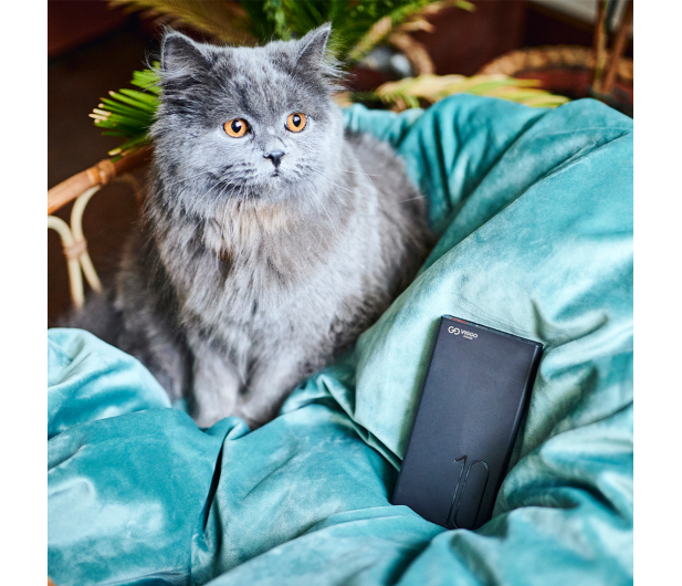 VIGGO DESIGN POWERBANK VIGGO 10.000 mAh PD 18W Czarny # - 1459398 - zdjęcie 8
